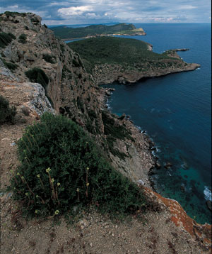 ↑스페인 마요르카 섬의 남쪽 풍경