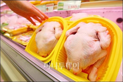 [사진]AI 전국적 확산 '닭고기 소비 뚝'