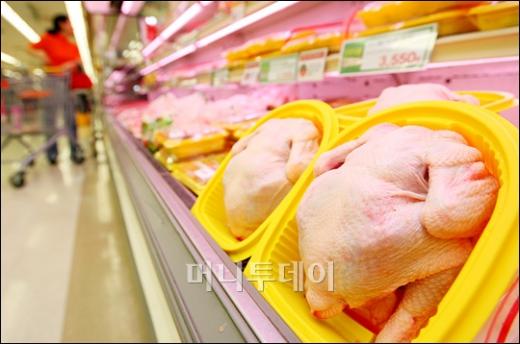 [사진]AI 전국적 확산 '닭고기 소비 뚝'