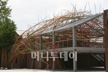 ↑2009년 인천 여성비엔날레에 출품된 마작가 대나무 설치작 전경