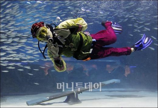 [사진]'2011 정어리와 함께하는 수중 마당놀이'