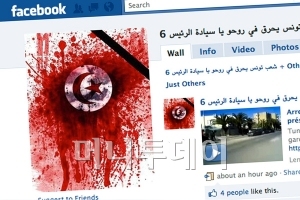 튀니지 시위는  '페이스북 혁명'