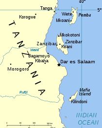 무고한 아이들이..탄자니아 배 침몰 2백여명 사망