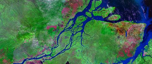 ↑ 브라질 아마존 강(뉴세븐원더스 웹페이지 캡처)