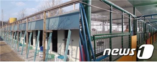 한국동물구조관리협회의 모습. 왼쪽부터 차례로 소형견 보호시설과 중형견 보호시설.  News1 