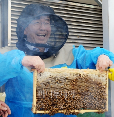 박원순 서울시장이 서울시청 옥상에 설치된 양봉장에서 꿀을 채취하고 있다. ⓒ뉴스1. 