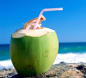 ▲ 인도와 동남아 열대 지방에서 쉽게 접할 수 있는 코코넛워터. 어린 코코넛에서만 이 숙취해소 원액을 찾아낼 수 있다. (ⓒGoogle검색)