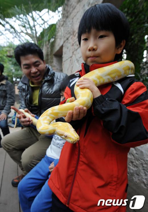 [사진]'뱀의 해' 뱀 무섭지 않아요!
