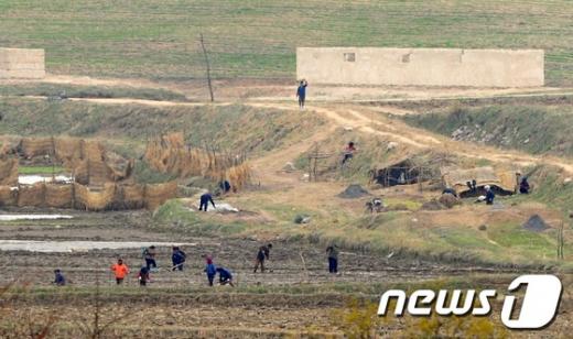 [사진]밭일 하는 북한 주민들