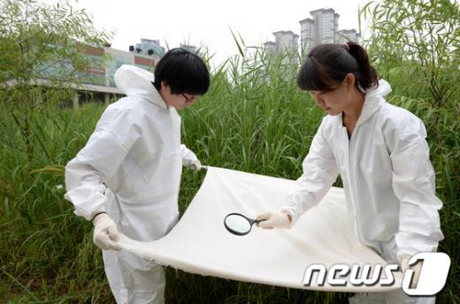 [사진]채집작업 벌이는 서울시보건환경연구원