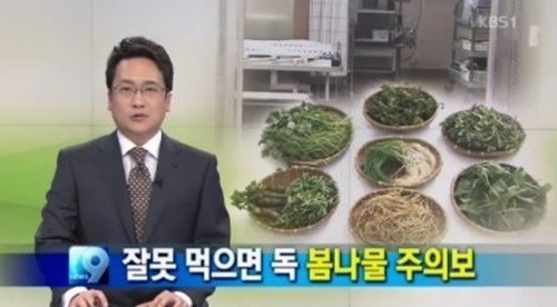 봄나물 주의보 발령(KBS1 '9시 뉴스'). © News1
