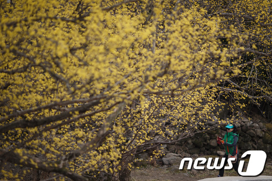 [사진]'봄을 담다'