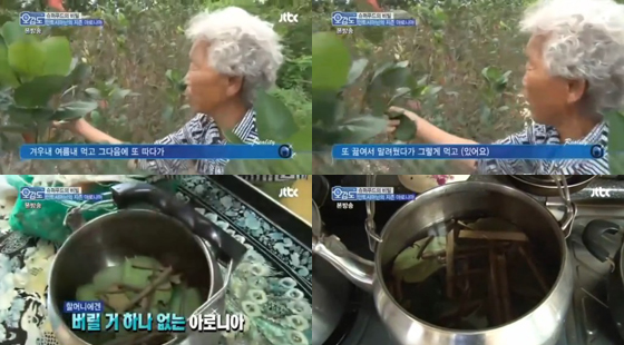 /사진=JTBC '리얼리티 카메라 오감도' 방송화면 캡처