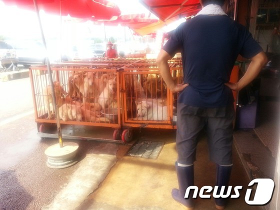 지난 11일 경기 성남시 모란시장에서 한 상인이 손님을 기다리고 있다. © News1 박응진 기자 