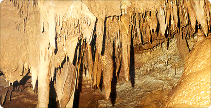 ↑ 천곡동굴(출처 : 동해시 시설관리공단)