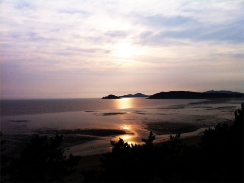인천 마시란 해변 갯벌/사진=휴 에어포트 덕교 홈페이지 