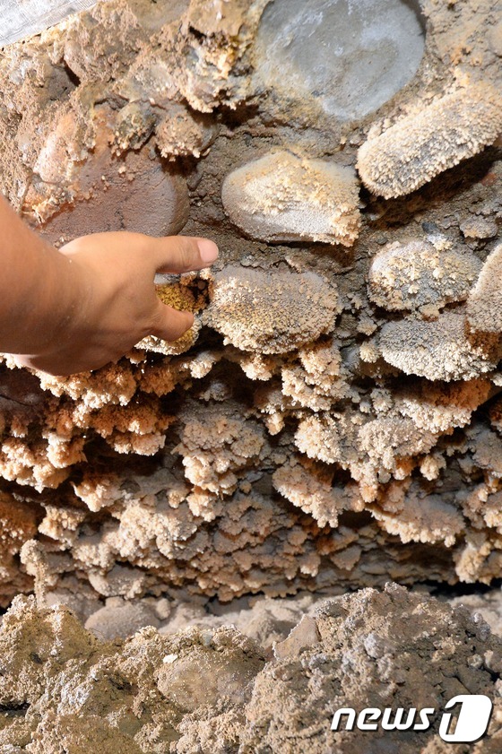 [사진]석촌지하차도 동공, 동굴처럼 종유석 있다