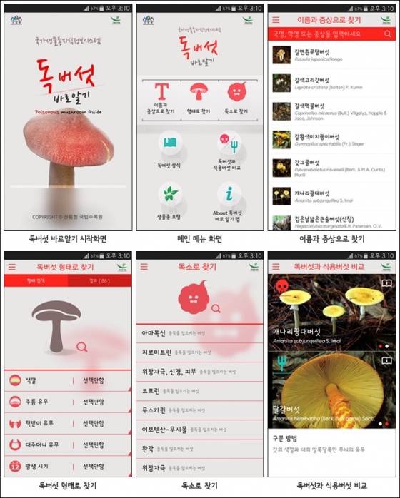 '독버섯 바로알기' 앱 캡쳐 화면/ 사진제공=국립수목원 홈페이지