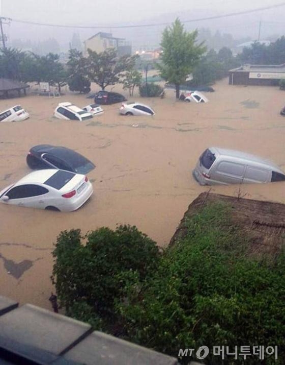 지난달 25일 부산에 내린 폭우로 부산 기장군 장안읍 일대가 침수돼 자동차들이 흙탕물에 완전히 잠겨 있다. (트위터) 2014.8.25/사진=뉴스1