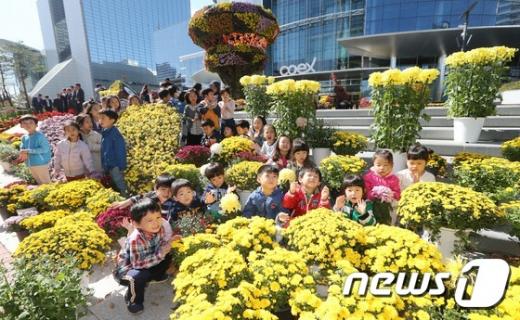 [사진]국화꽃 향기와 함께하는 아이들