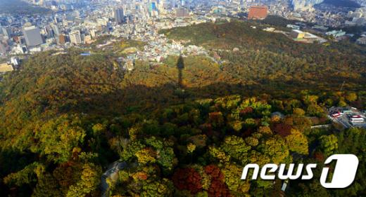 지난 24일 오후 서울N타워에서 바라본 남산이 단풍으로 붉게 물들어가고 있다. 2014.10.24/뉴스1 © News1 박지혜 기자
