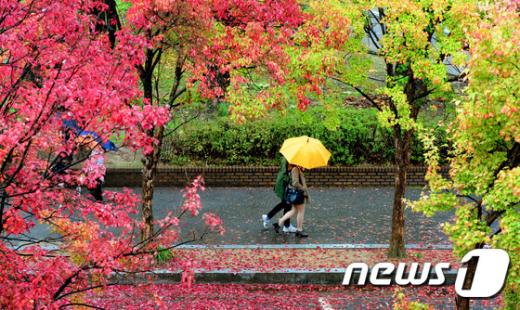 전북 전주시 전북대학교에서 학생들이 우산을 쓰고 걸어가고 있다. © News1 김대웅 기자