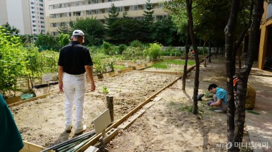 아파트 단지 내 버려진 테니스장이 텃밭으로 변하면서 주민들이 채소를 가꾸고 있다./사진=박성대 