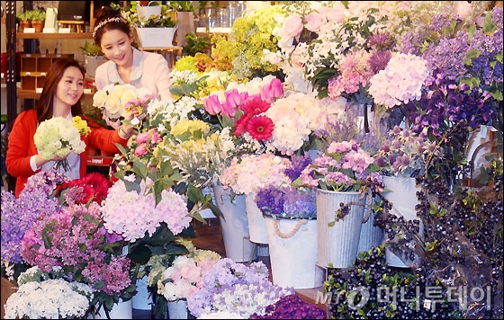 [사진]백화점 매장에 핀 봄꽃