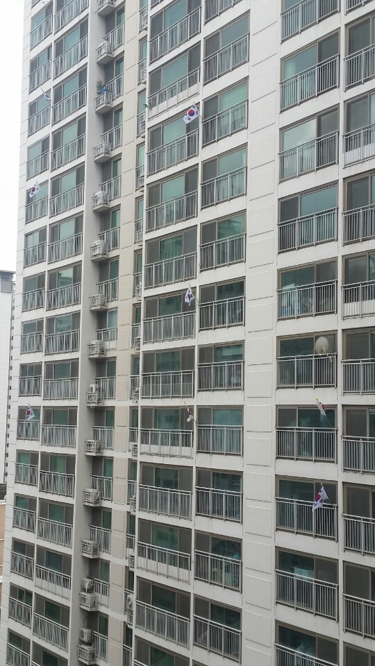 서울 송파구에 위치한 한 아파트. 사진에 보이는 33개 가구 중 태극기를 게양한 곳은 8곳에 불과했다.