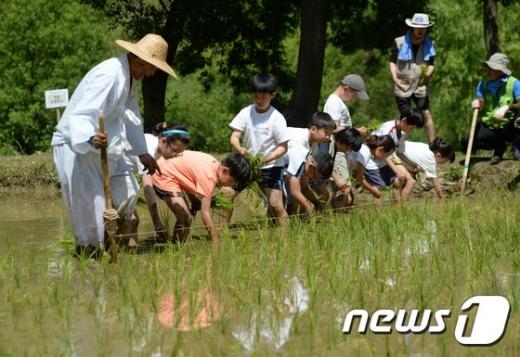 [사진]'우리는 꼬마 농부'