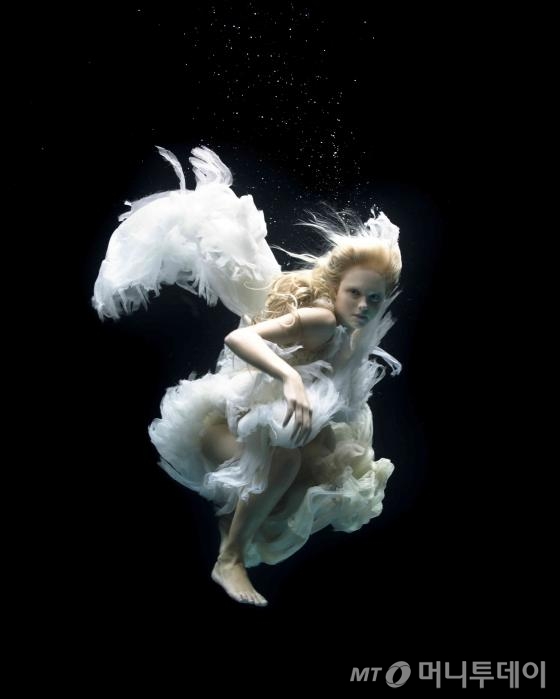 'Angels, swan song', 2005<br />
