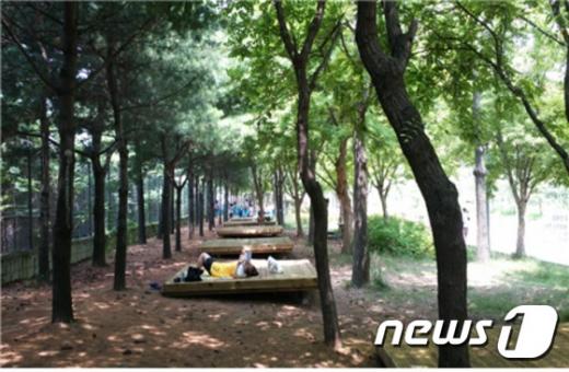 서울숲 캠핑장 모습 (사진=성동구 제공) 2015.07.03/뉴스1© News1