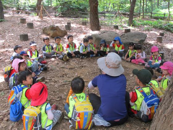 서울 강서구 우장공원에서 유아들이 숲을 즐기고 있다./사진제공=서울시