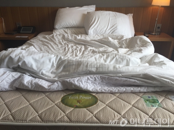 침대는 대진의 '트윈 파워'를 채택했다/사진=이지혜 기자 