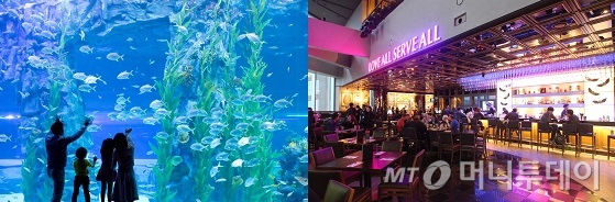 롯데월드 아쿠아리움(왼쪽)과 로큰롤 음악을 테마로 한 레스토랑 &amp; 바 '하드록 카페 서울'/사진제공=롯데물산