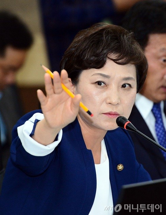  국회 기획재정위원회 김현미 새정치민주연합 의원