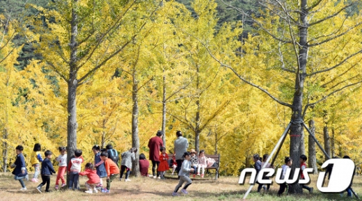 [사진]'즐거운 가을 숲'