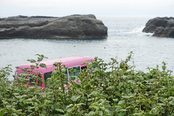 타이동의 해변을 달리다 보면 만날 수 있는 풍경. /사진=김유진 기자