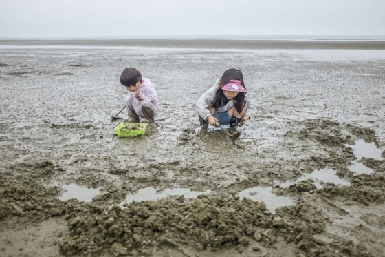 전북 고창군 구시포에서 아이들이 갯벌 체험을 하고 있다. 한국관광공사는 23일 '어촌이 있는 해변 풍경'이라는 주제로 '7월의 가볼만한 곳' 6곳을 선정해 발표했다. /사진제공=한국관광공사