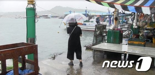 강원 고성군 송지호 해수욕장 인근 항구에서 포켓몬 고 사용자가 바다 근처에서 게임을 하고 있다 © News1