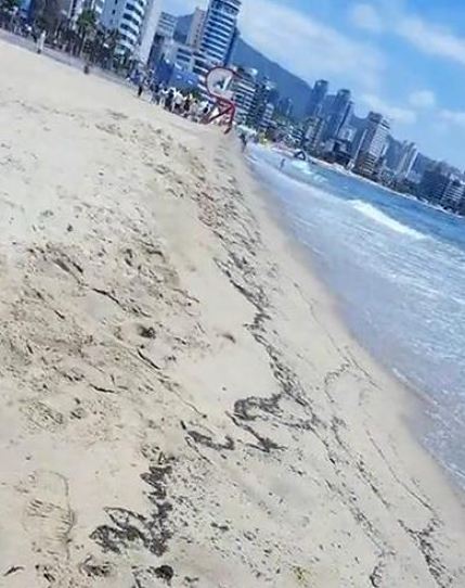 한 네티즌이 부산 광안리 해수욕장에 개미떼가 나타났다며 올린 사진. /사진=온라인커뮤니티