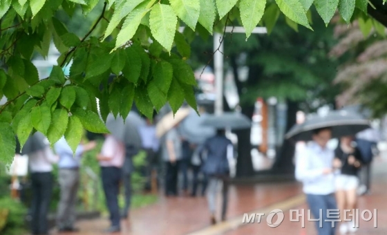 전국적으로 비가 내린 지난 5월24일 시민들이 서울 청계천을 지나고 있다./사진=홍봉진 기자