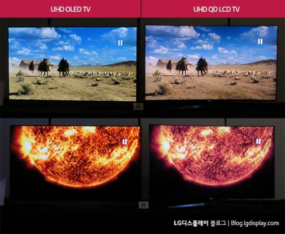 65 UHD OLED TV UHD Ҵ(QD) LCD TV ÿ ȭ /=LG÷ α
