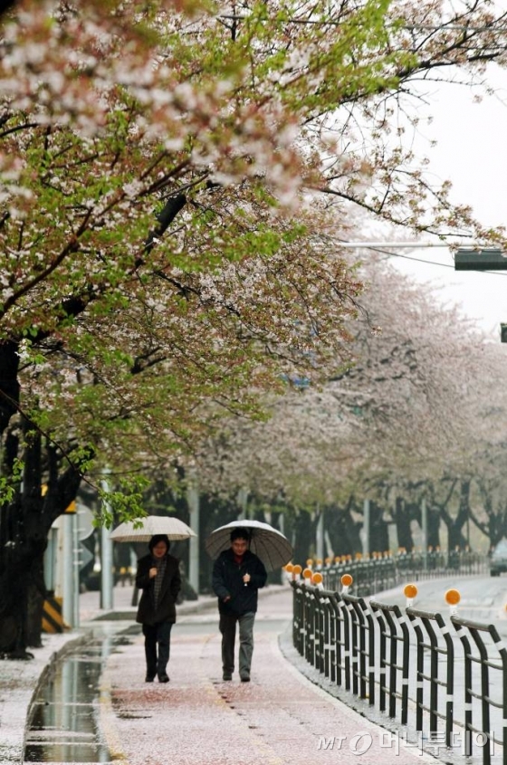 [내일 날씨]전국에 봄비…고온현상 주춤