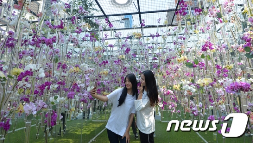 [사진]도심 속 꽃축제