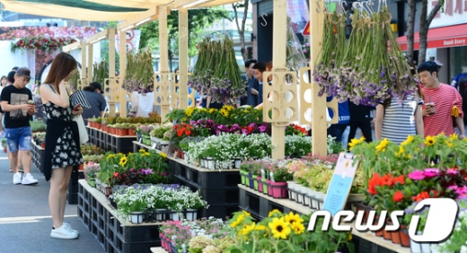 [사진]신촌 국제 꽃시장
