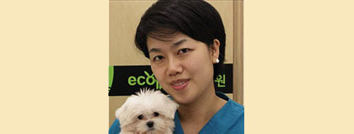 김미혜 수의사(송파에코동물병원장)