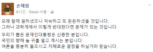 손혜원 더불어민주당 의원의 페이스북 게시글. /사진=손 의원 페이스북 캡처