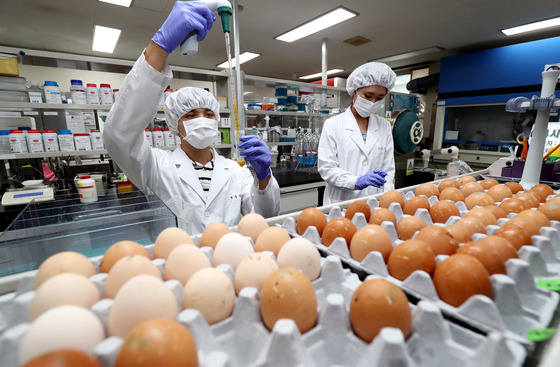 대구 수성구 보건환경연구원 축산물분석과에서 연구사들이 달걀 성분 분석을 하고 있다. /사진=뉴스1