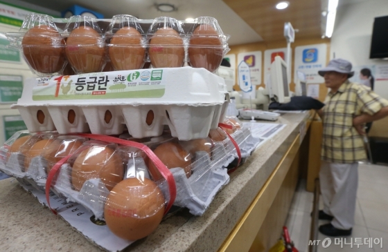 국내산 계란에 맹독성 살충제 피프로닐과 비펜트린 성분이 검출돼 전국적으로 유통이 일시 중지된 가운데 16일 서울의 한 대형마트에서 한 소비자가 계란을 반품하고 있다./사진=이기범 기자